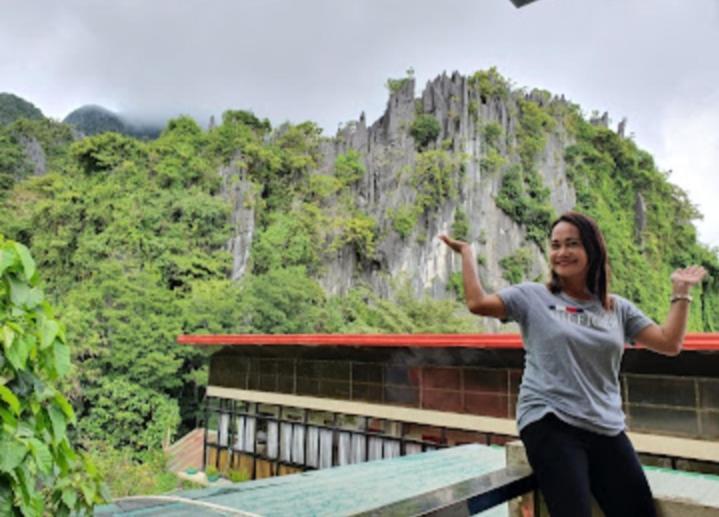 Angelic Tourist Inn Thru Riley-Based Trvel Ink El Nido Kültér fotó